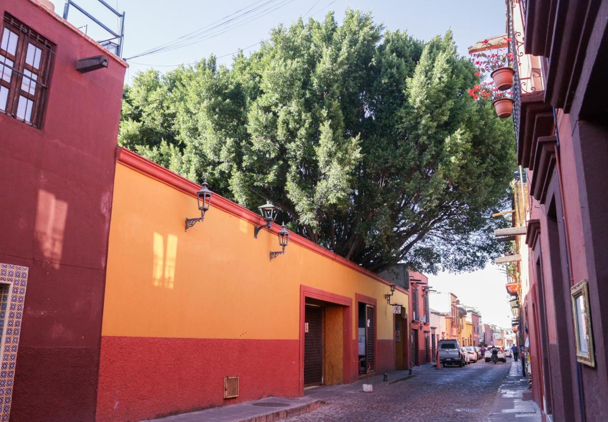 Hotel Casa Relox 43 San Miguel de Allende Exterior foto